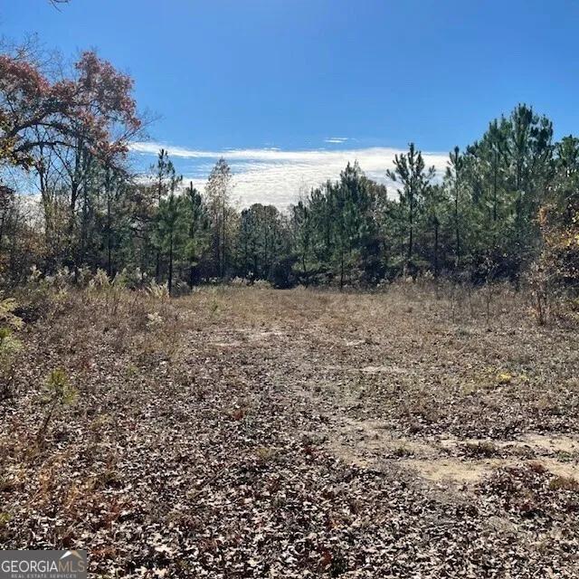 LOT A Pineville RD Buena Vista, GA 31803