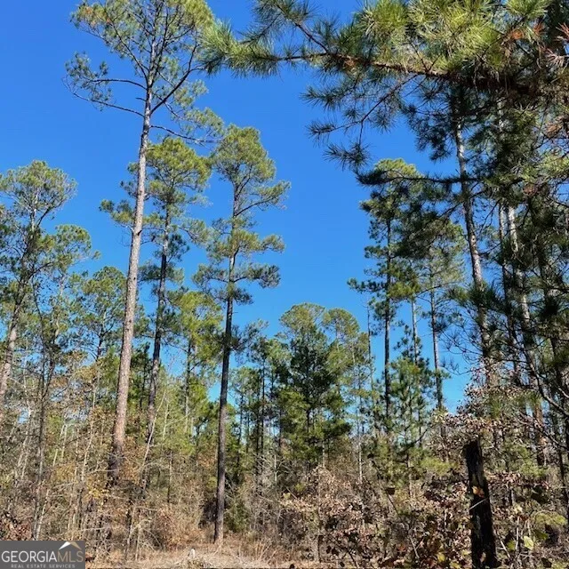 LOT A Pineville RD Buena Vista, GA 31803