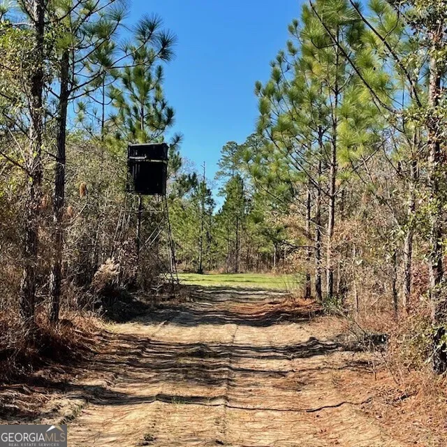 LOT A Pineville RD Buena Vista, GA 31803