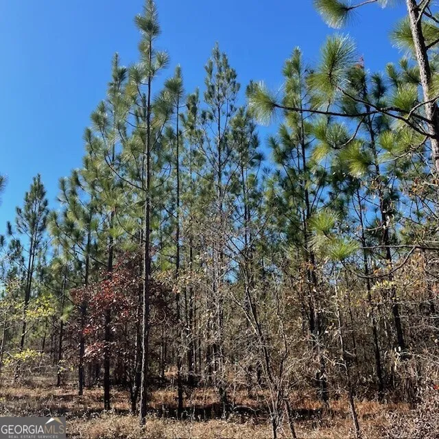 LOT A Pineville RD Buena Vista, GA 31803