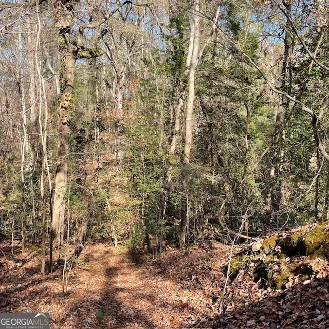 LOT A Pineville RD Buena Vista, GA 31803