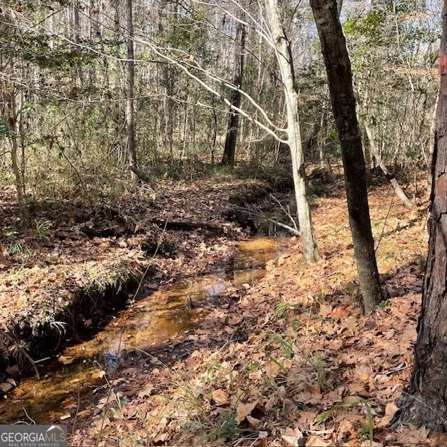 LOT B Pineville RD Buena Vista, GA 31803