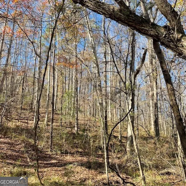 LOT B Pineville RD Buena Vista, GA 31803