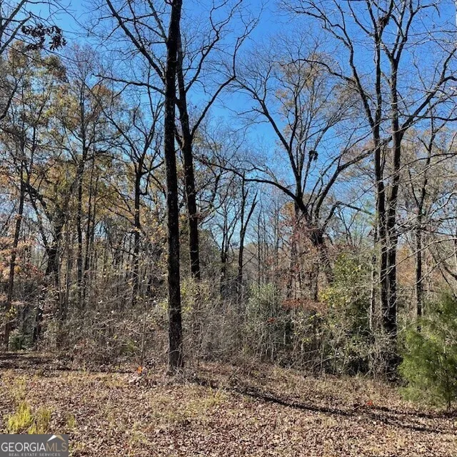 LOT B Pineville RD Buena Vista, GA 31803