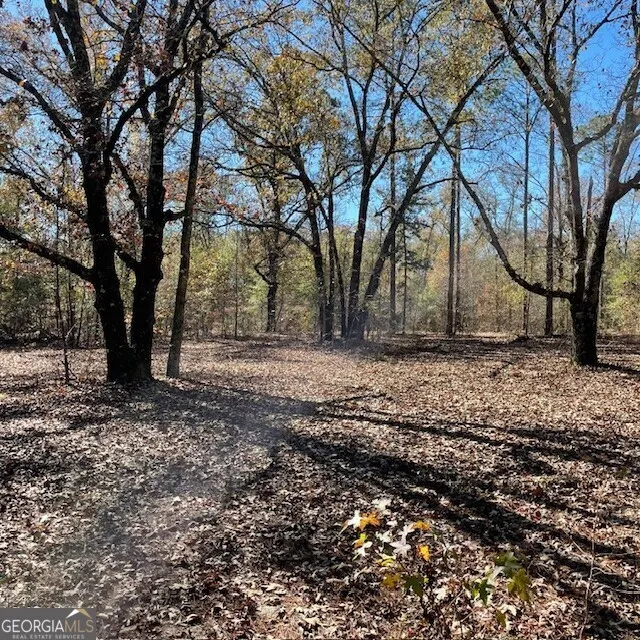 LOT B Pineville RD Buena Vista, GA 31803