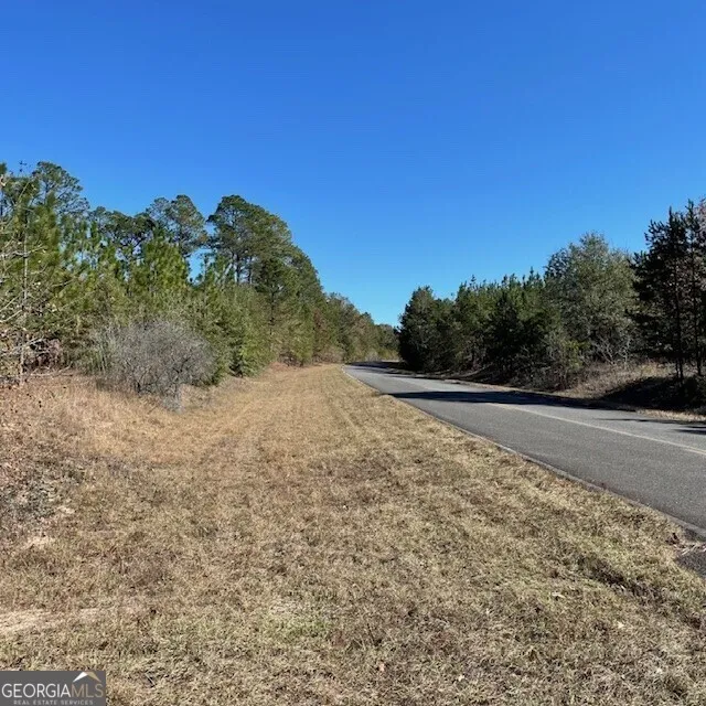 LOT B Pineville RD Buena Vista, GA 31803