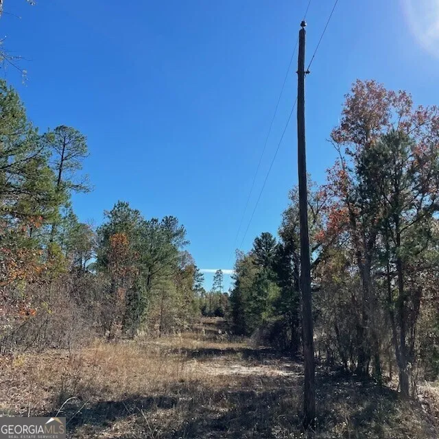 LOT B Pineville RD Buena Vista, GA 31803