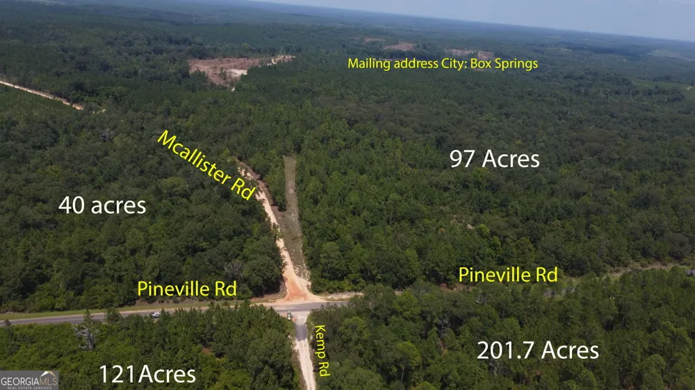 LOT B Pineville RD Buena Vista, GA 31803