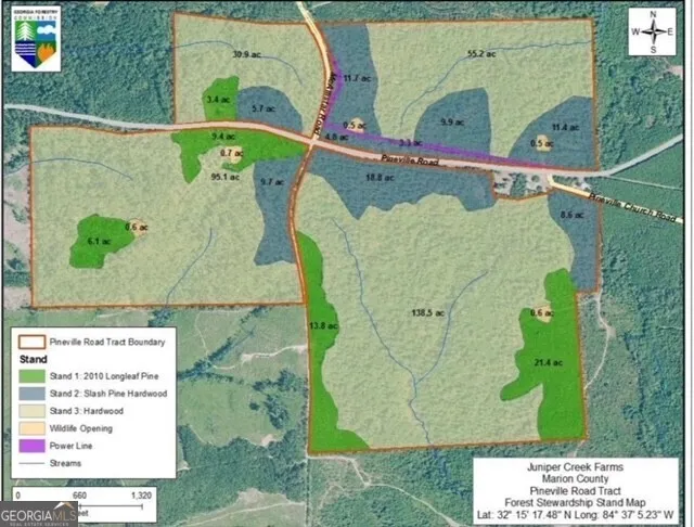 LOT B Pineville RD Buena Vista, GA 31803