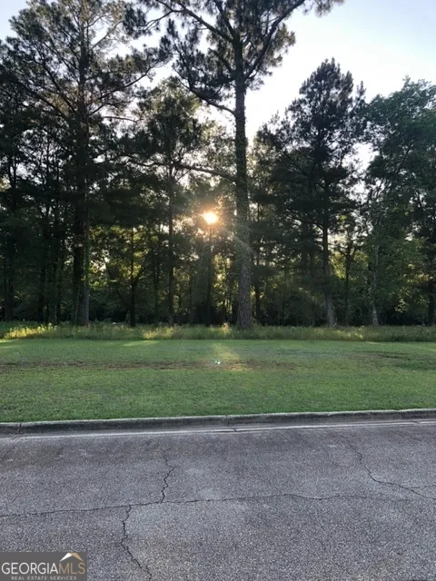 203 Manchester DR Albany, GA 31721