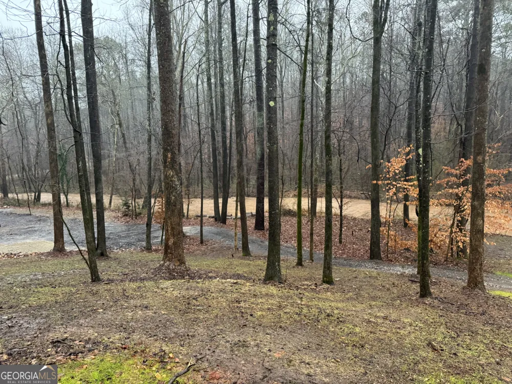 1542 Silver Hill RD Stone Mountain, GA 30087