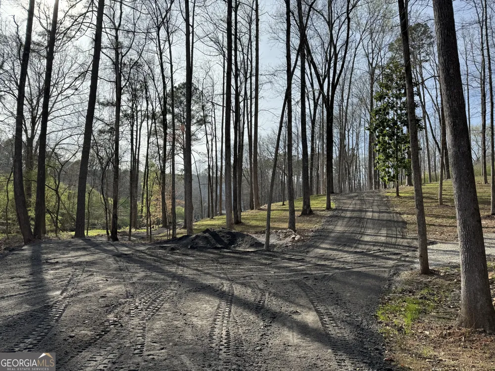 1542 Silver Hill RD Stone Mountain, GA 30087