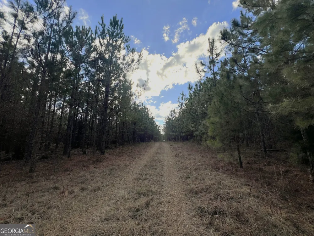 0 Thomas RD Millen, GA 30442