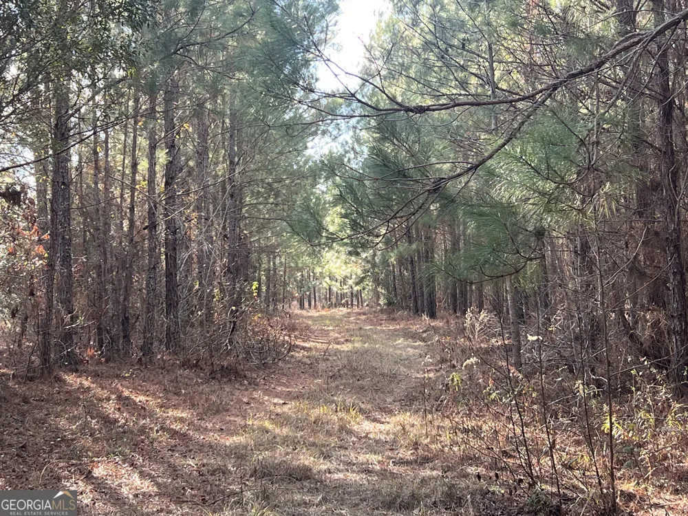 0 Thomas RD Millen, GA 30442
