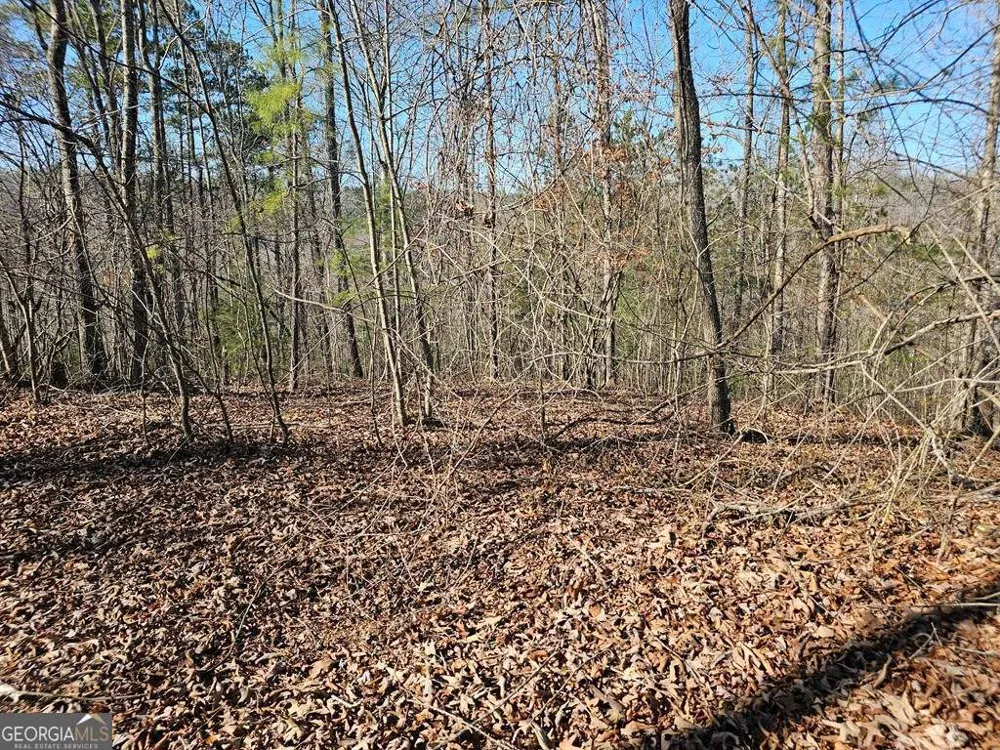 1.16 Marie DR Talking Rock, GA 30175