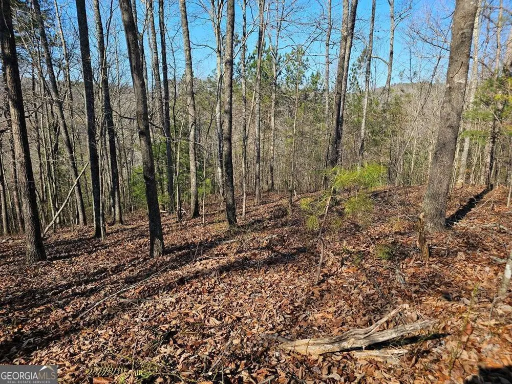 1.16 Marie DR Talking Rock, GA 30175
