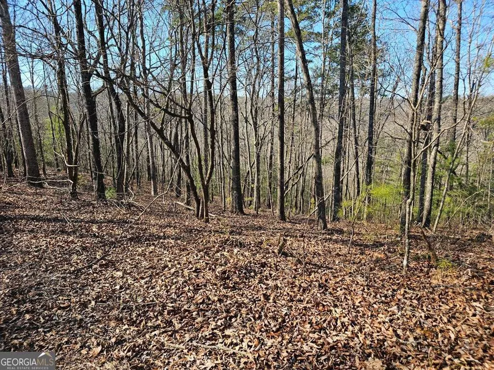 1.16 Marie DR Talking Rock, GA 30175