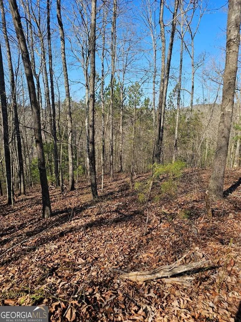 1.16 Marie DR Talking Rock, GA 30175