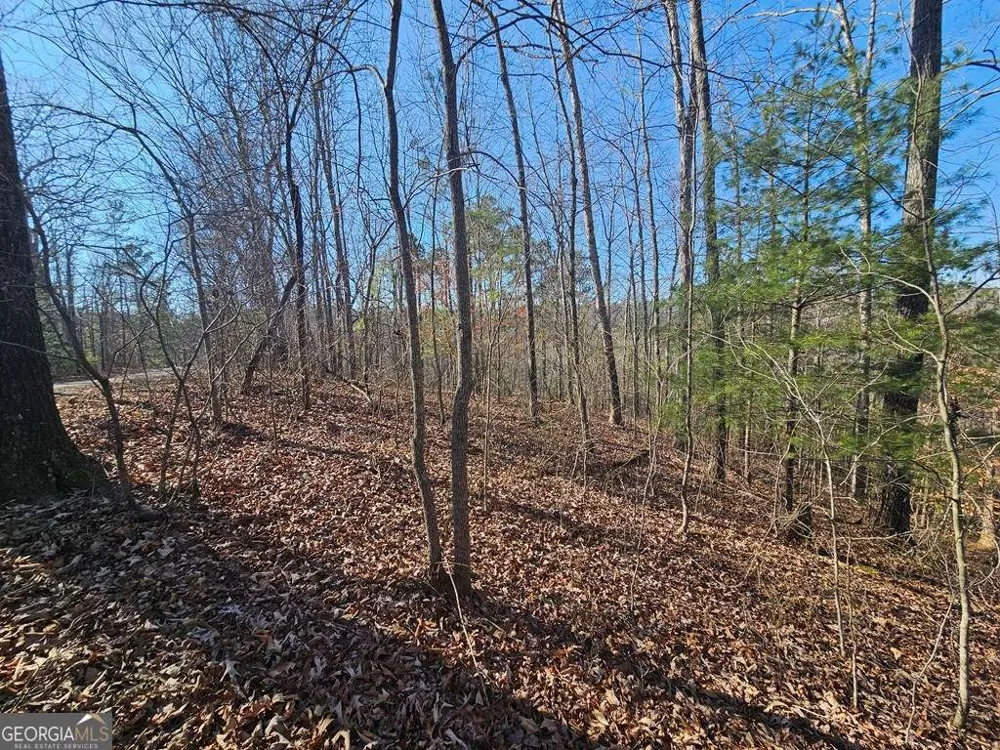 1.16 Marie DR Talking Rock, GA 30175