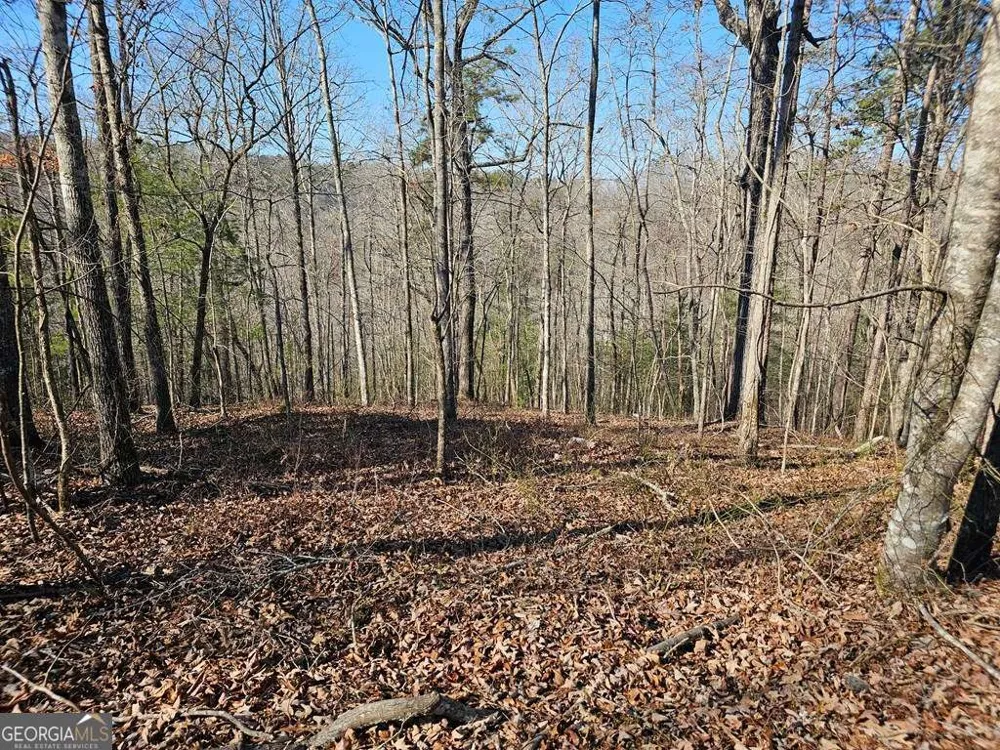1.16 Marie DR Talking Rock, GA 30175