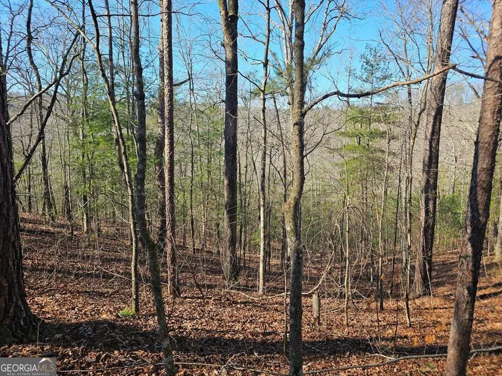1.16 Marie DR Talking Rock, GA 30175