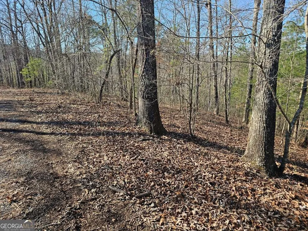 1.16 Marie DR Talking Rock, GA 30175