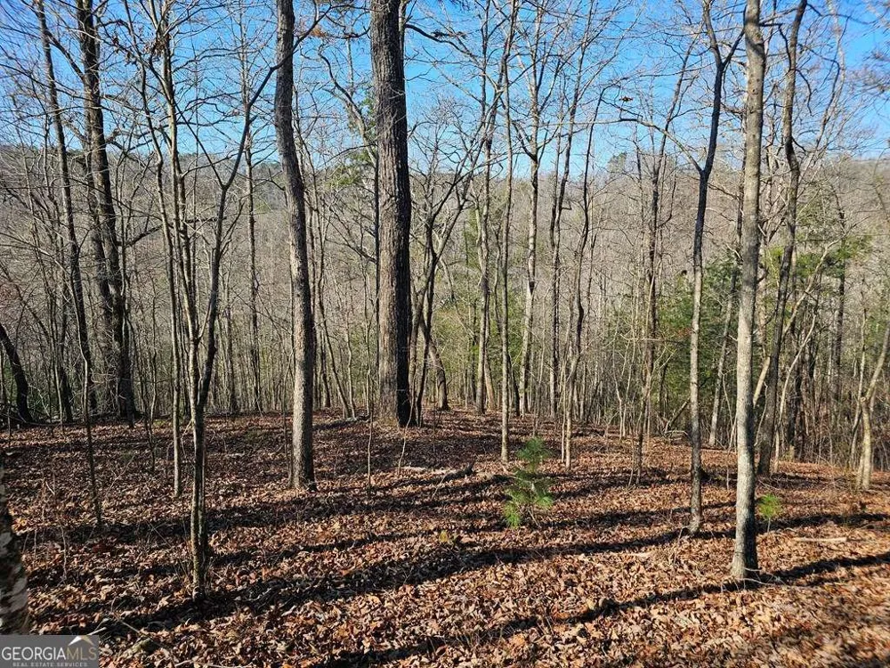 1.16 Marie DR Talking Rock, GA 30175