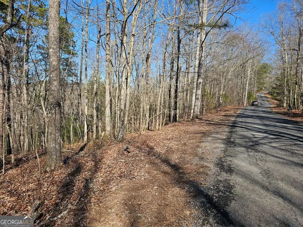 1.16 Marie DR Talking Rock, GA 30175