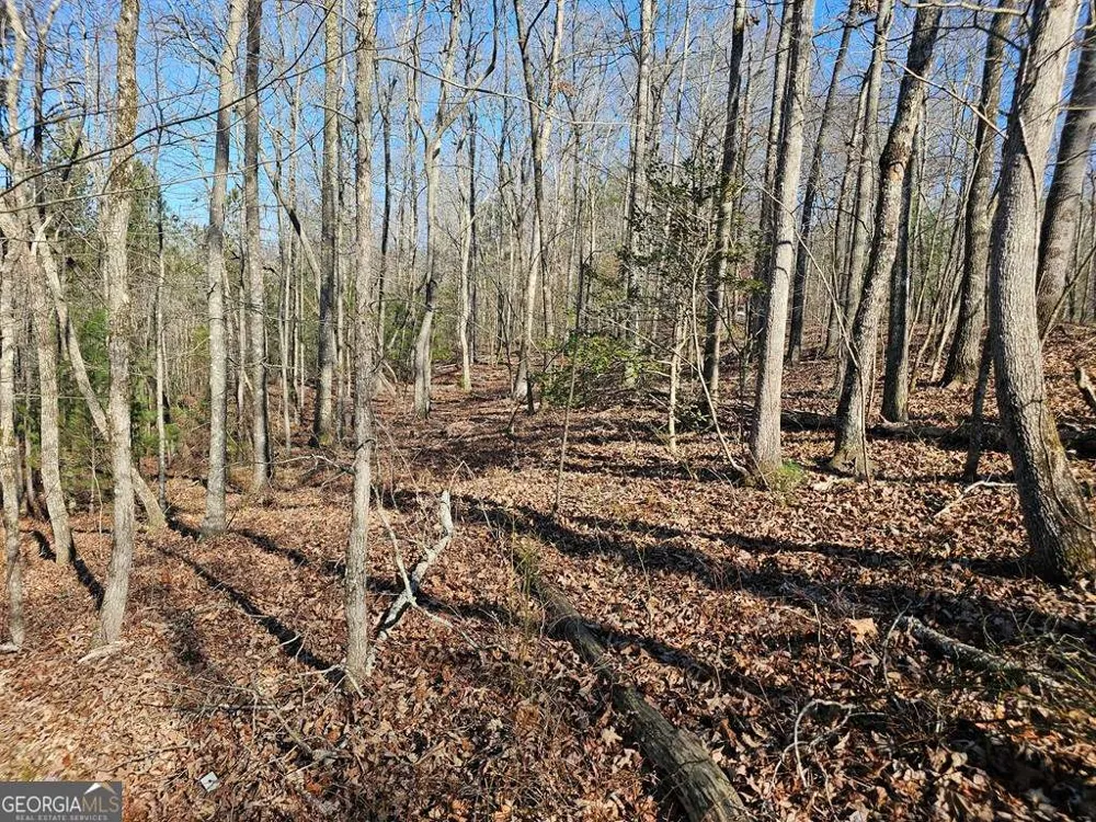 1.16 Marie DR Talking Rock, GA 30175