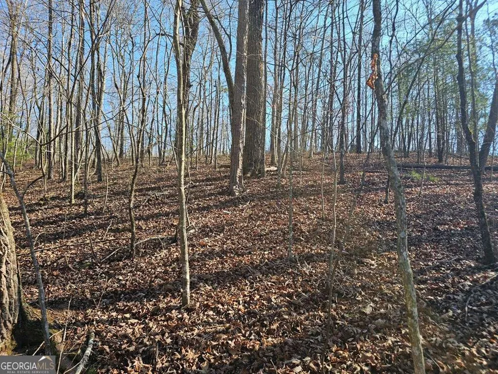 1.16 Marie DR Talking Rock, GA 30175