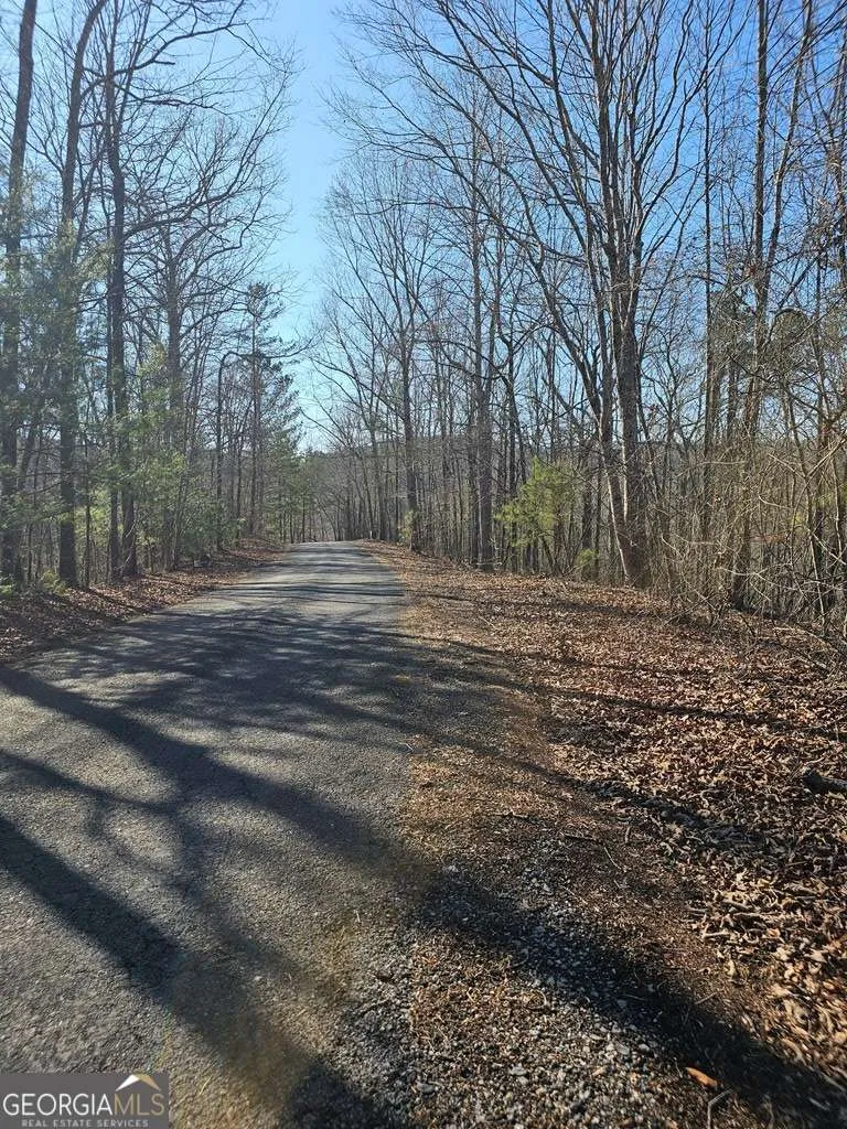 1.16 Marie DR Talking Rock, GA 30175