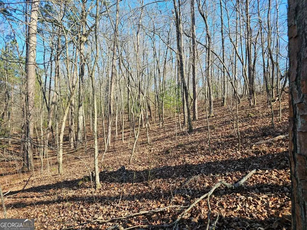 1.16 Marie DR Talking Rock, GA 30175