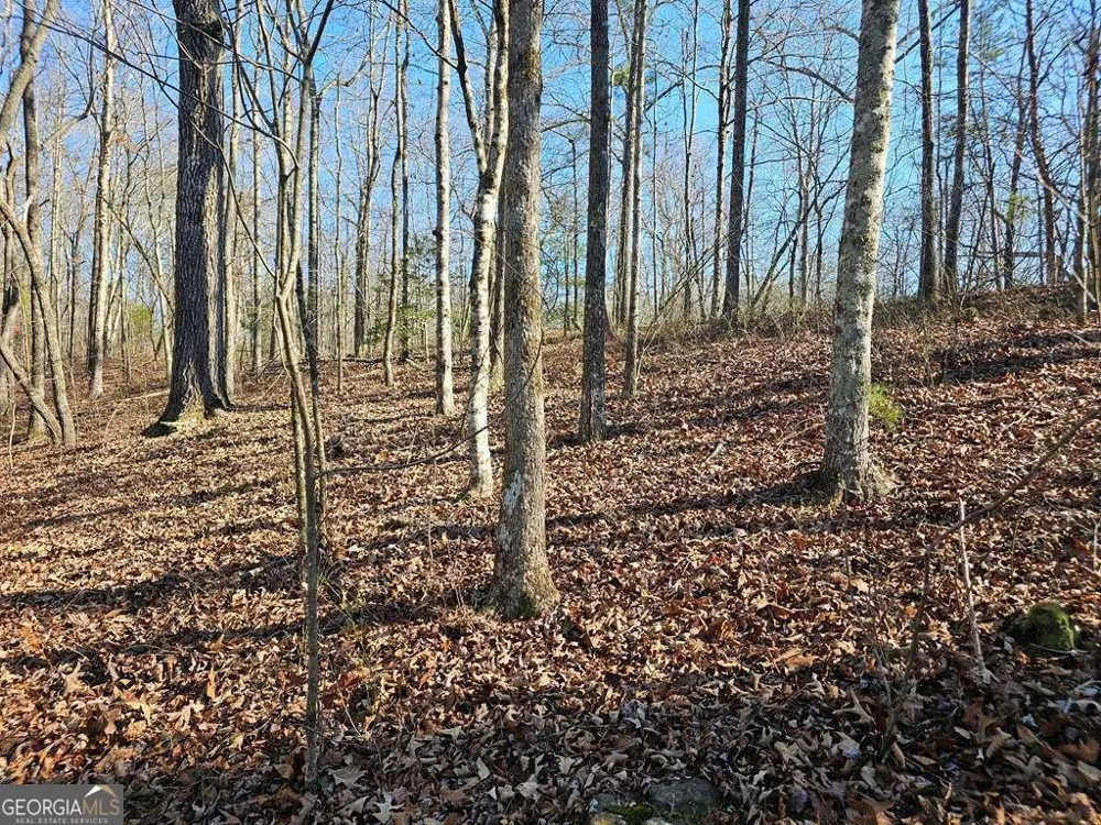 1.16 Marie DR Talking Rock, GA 30175