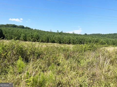 0 Booger Hollow RD