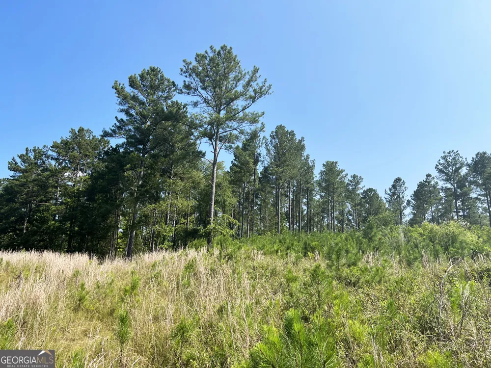 0 Booger Hollow RD Rome, GA 30161