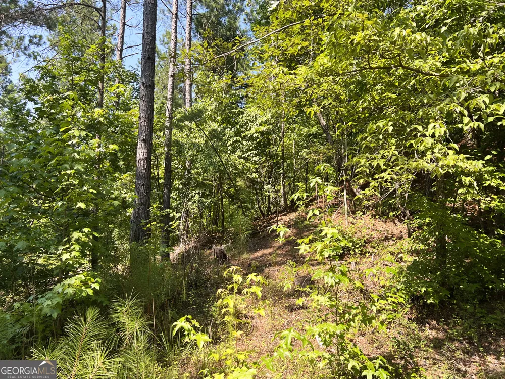 0 Booger Hollow RD Rome, GA 30161