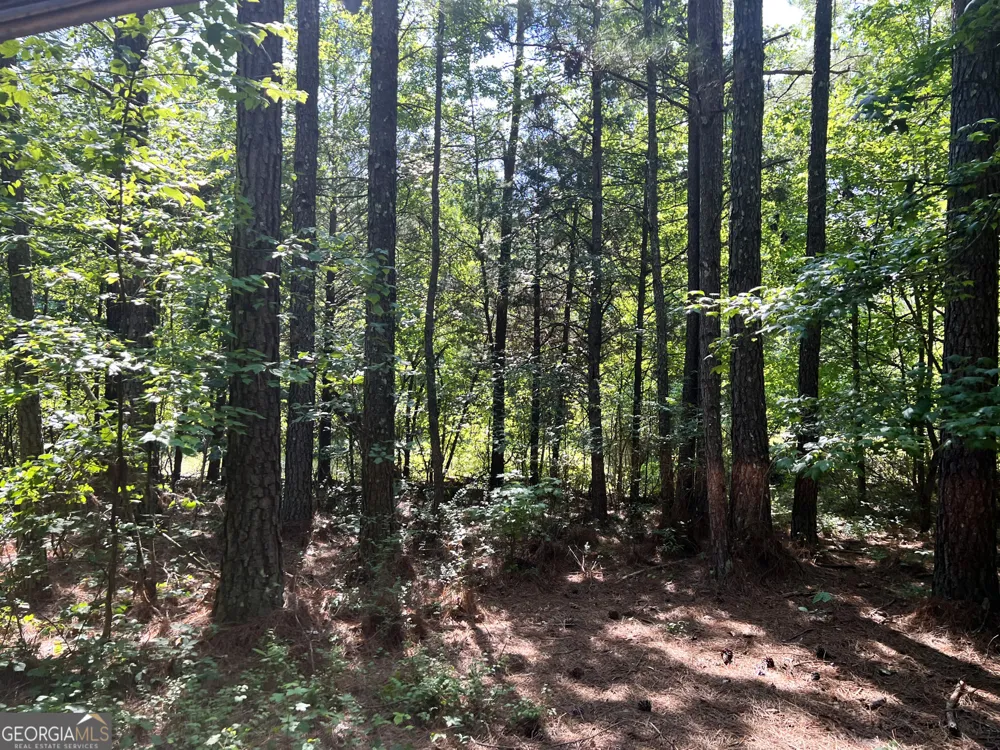 0 Booger Hollow RD Rome, GA 30161