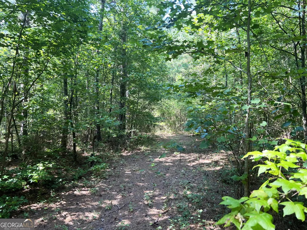 0 Booger Hollow RD Rome, GA 30161