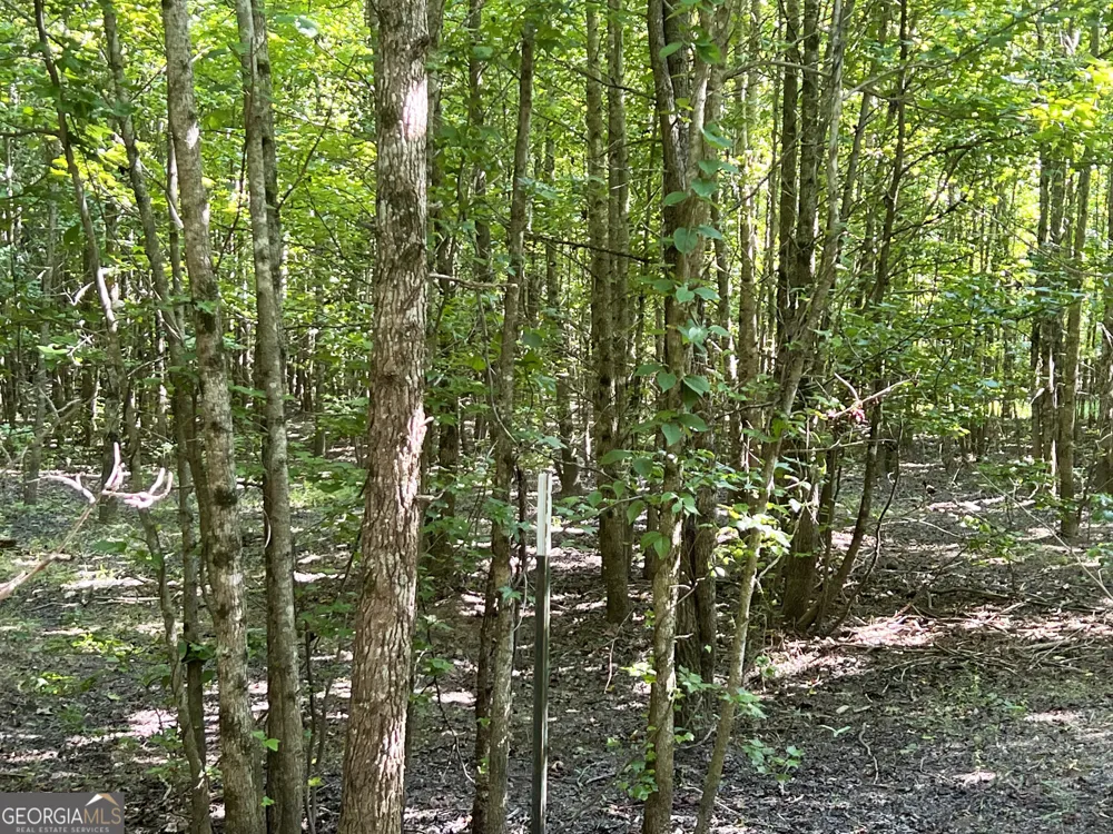 0 Booger Hollow RD Rome, GA 30161