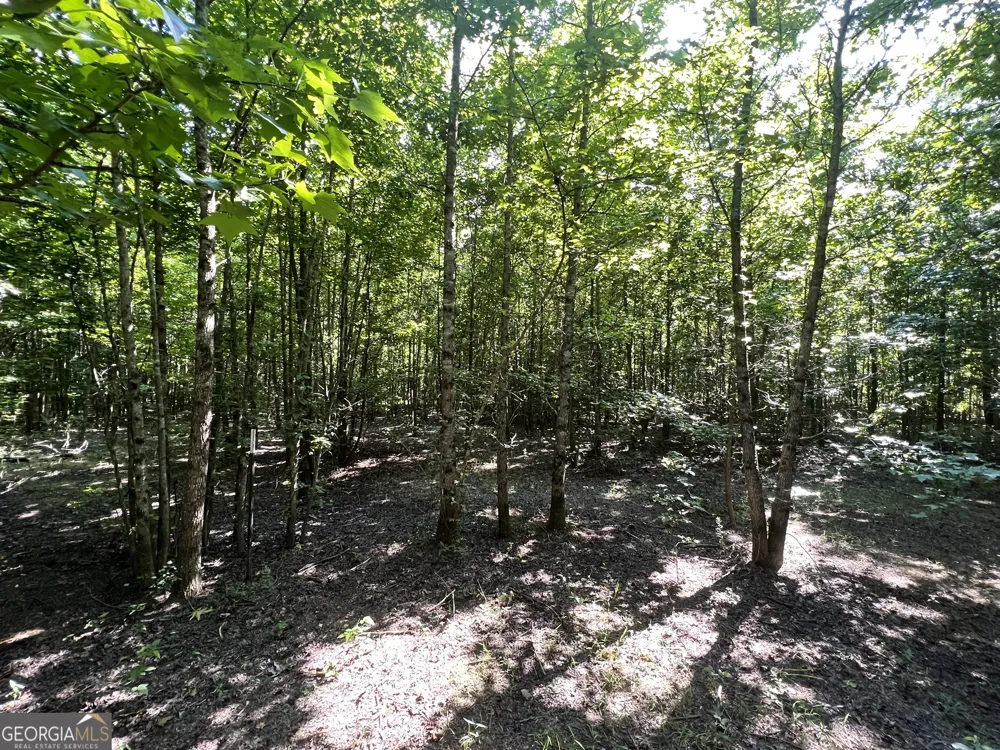 0 Booger Hollow RD Rome, GA 30161