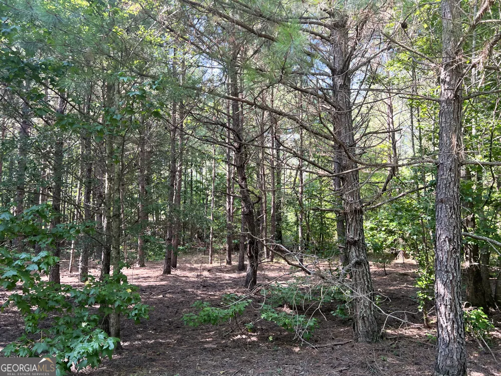 0 Booger Hollow RD Rome, GA 30161
