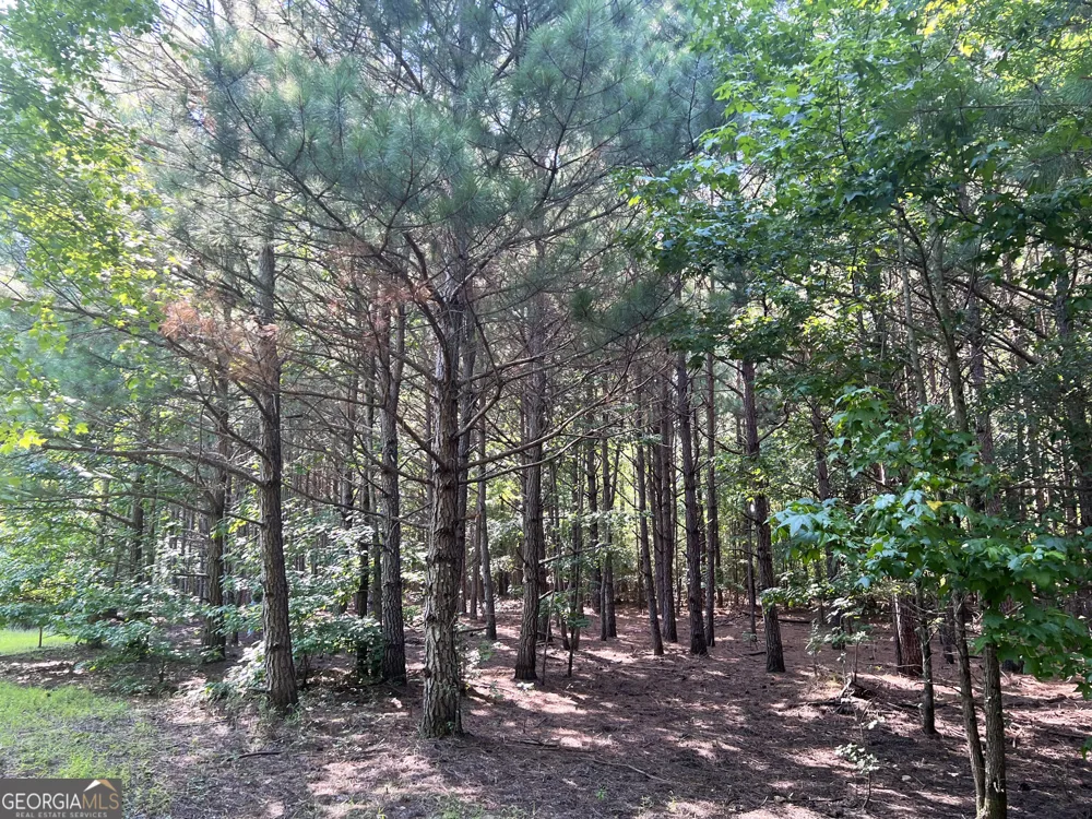 0 Booger Hollow RD Rome, GA 30161