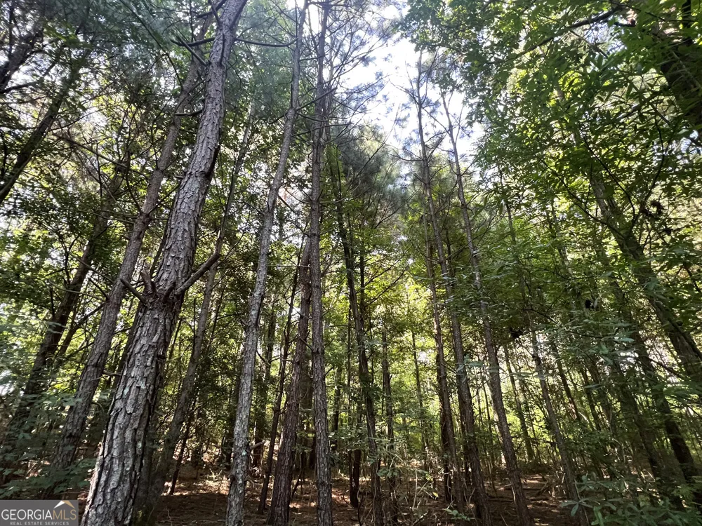 0 Booger Hollow RD Rome, GA 30161