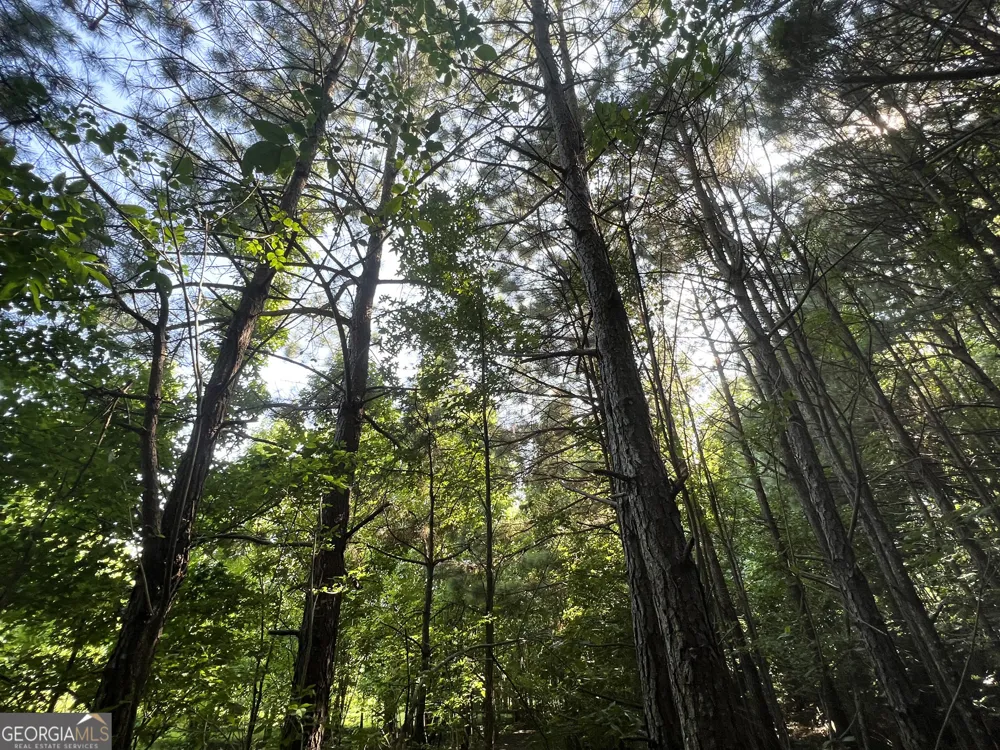0 Booger Hollow RD Rome, GA 30161