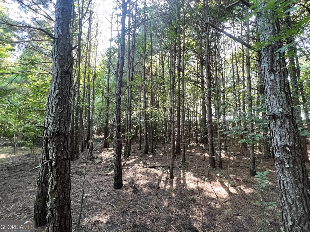 0 Booger Hollow RD Rome, GA 30161