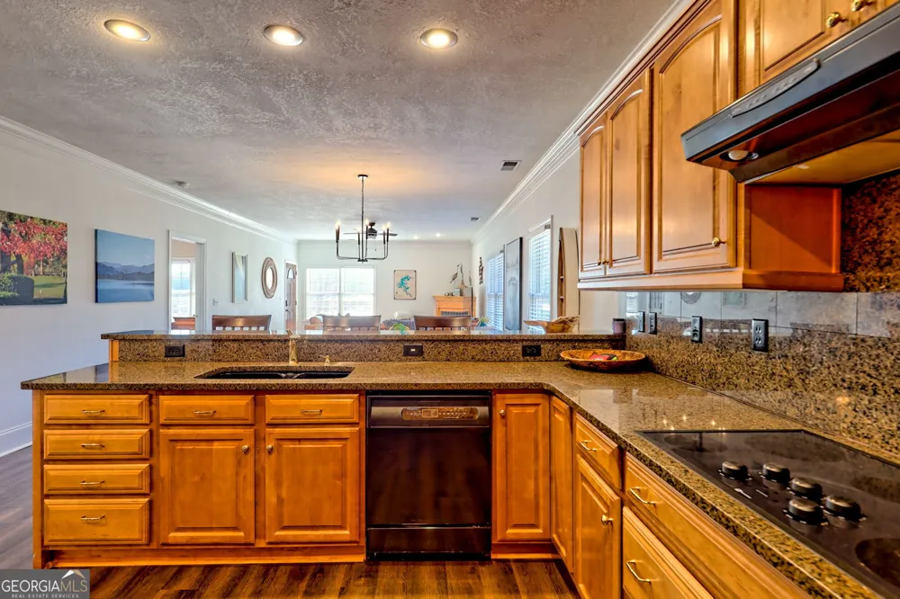 1688 Lakeview DR Young Harris, GA 30582