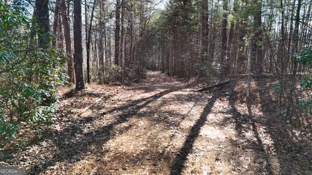 0 Gold Valley RD Sautee Nacoochee, GA 30571