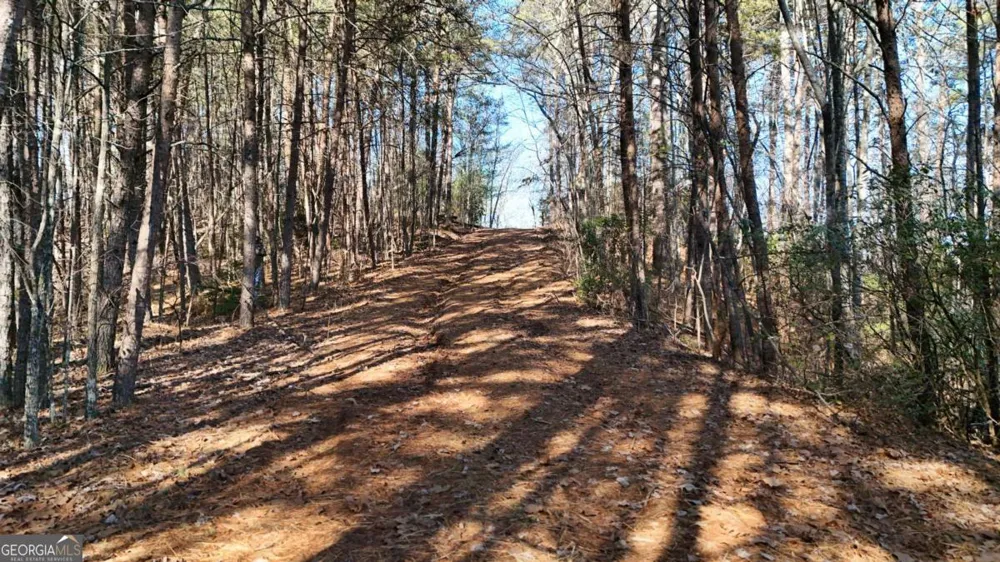 0 Gold Valley RD Sautee Nacoochee, GA 30571