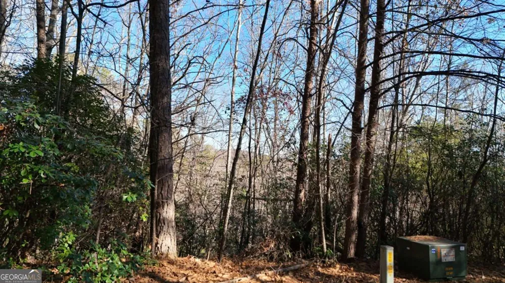 0 Gold Valley RD Sautee Nacoochee, GA 30571