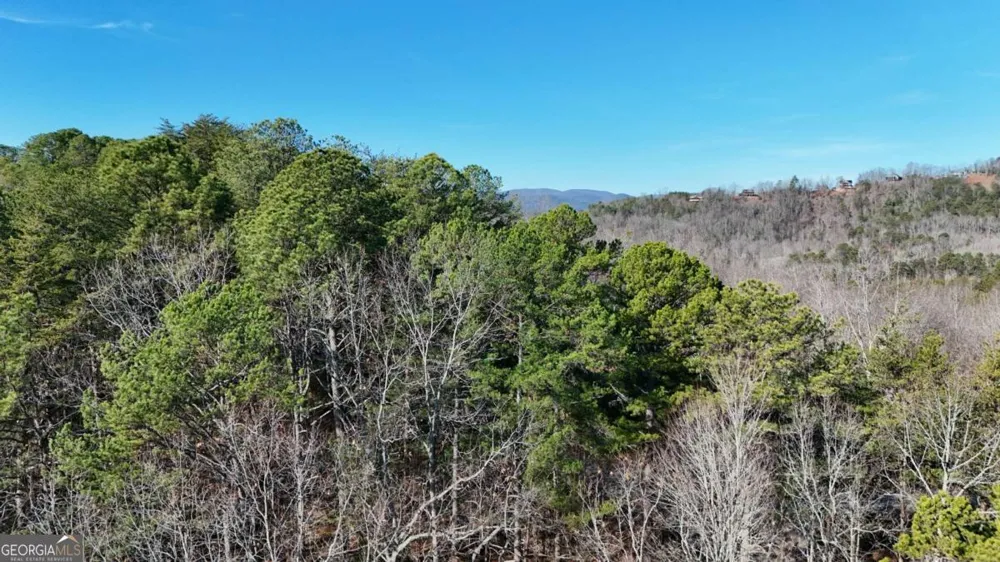 0 Gold Valley RD Sautee Nacoochee, GA 30571